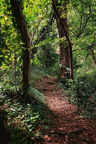 Circuit des Manoirs -Hyenville