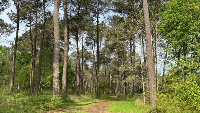 Agenda en ligne - SBT - 7