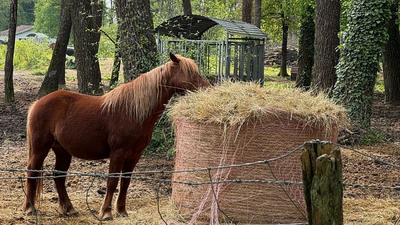 Agenda en ligne - SBT - 6