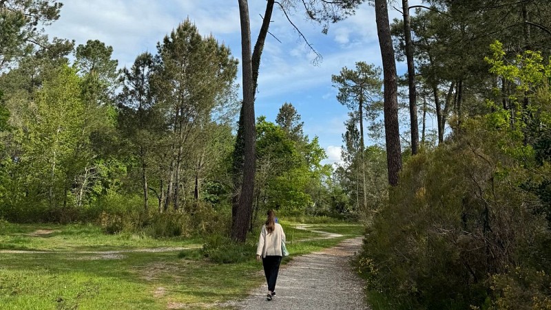 Parcours des Graves - Chemin 2