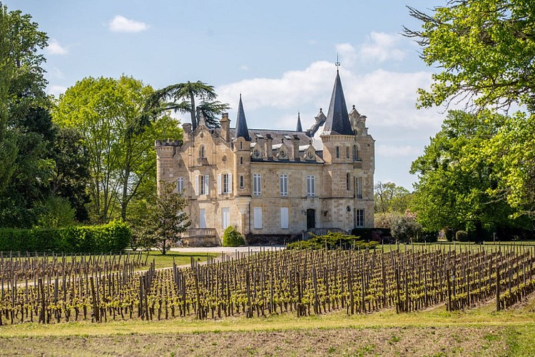 52830955482_8a21b75a73_c