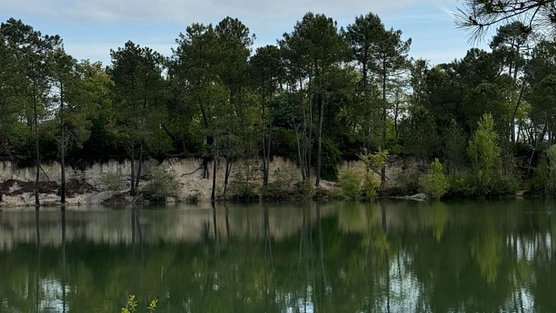 Agenda en ligne - SBT - 11