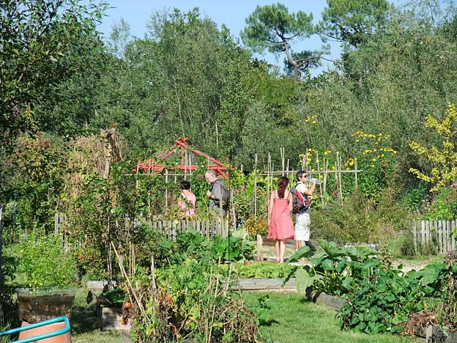 Pessac-Le-Bourgailh-3