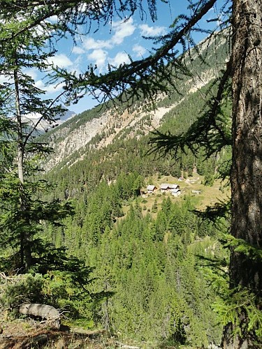 Chalets du Vallon - Val-des-Prés