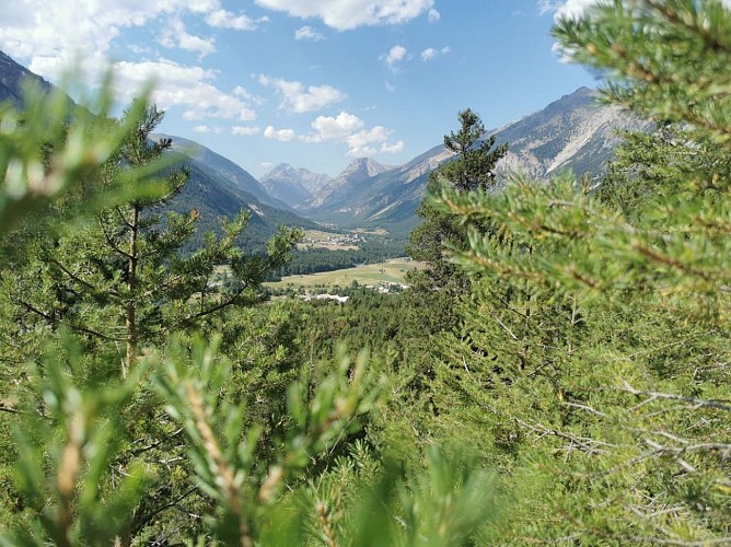Chalets du Vallon - Val-des-Prés