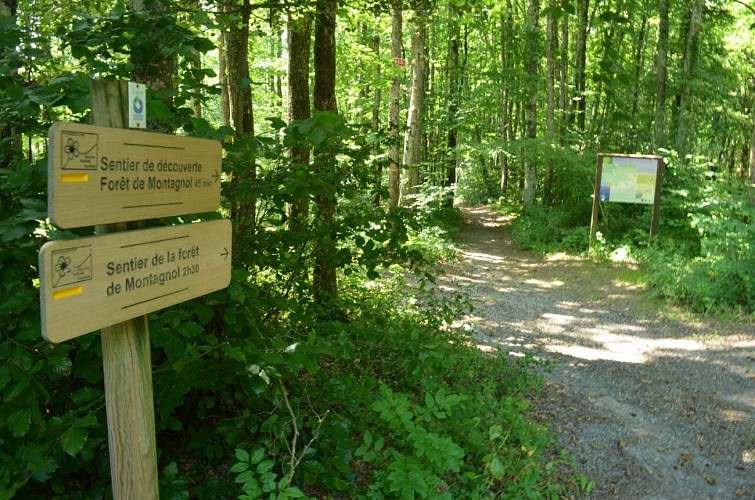 Sendero de descubrimiento del bosque de Montagnol