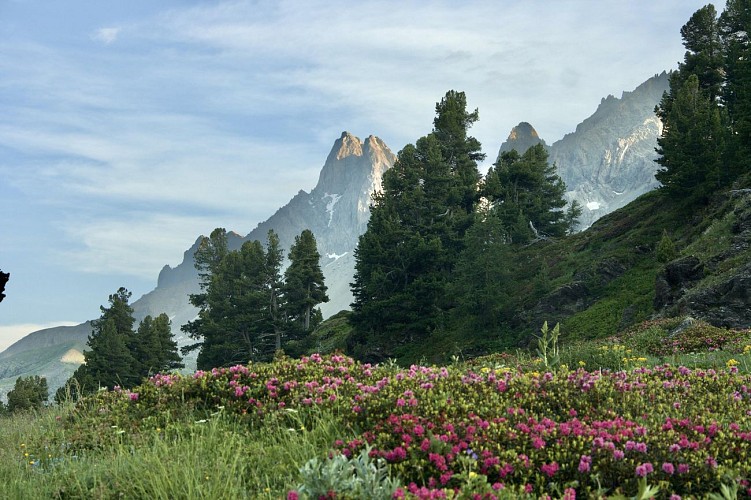 Small loop from Laval to Les Drayères_Névache