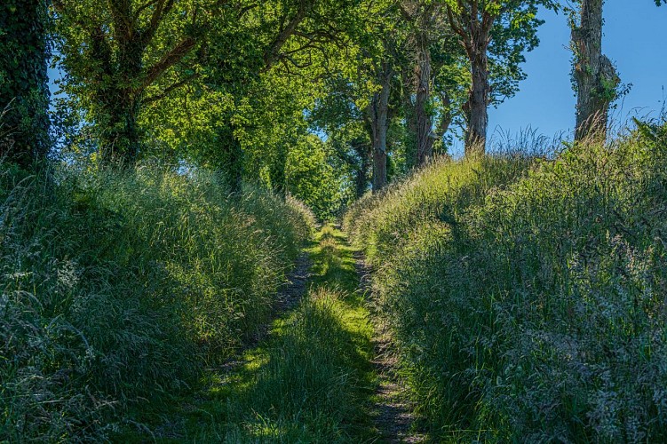 Circuit une histoire de pierre - Montsurvent