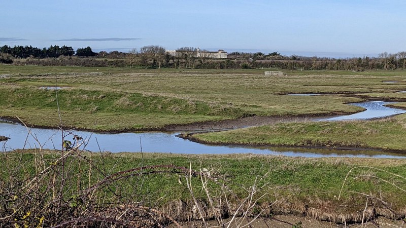 Tour de l'île madame