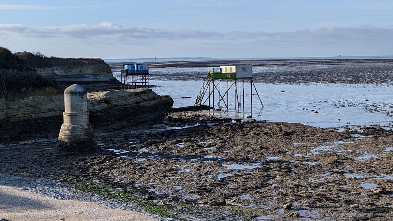 Tour de l'île madame