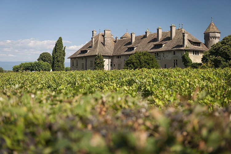 Randonnée : GRP Littoral du Léman (Thonon-les-Bains à Sciez-sur-Léman)