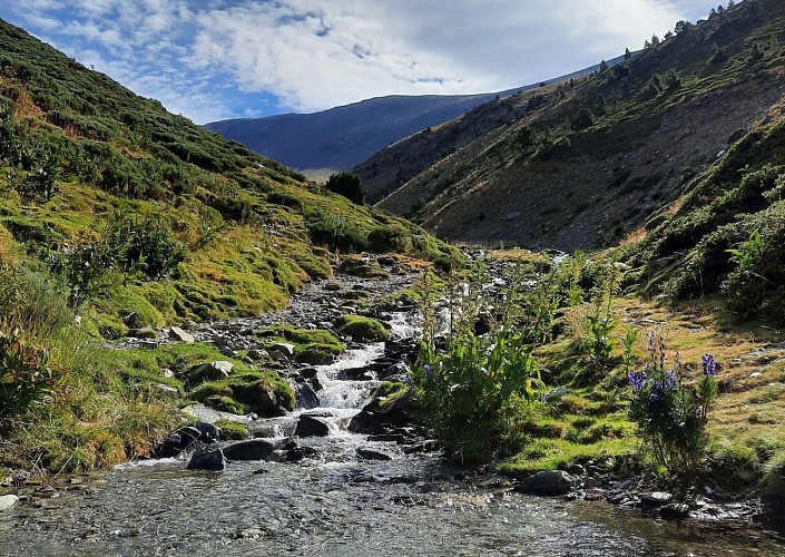Vallon d'Aiguaneix