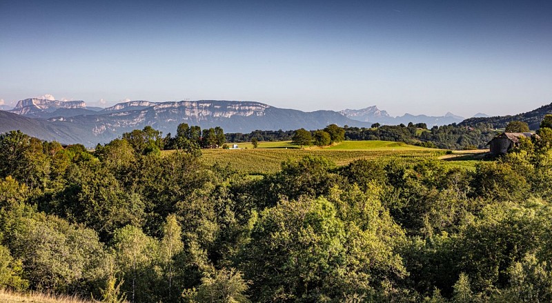 Vue sur le Mont Granier depuis Losieux