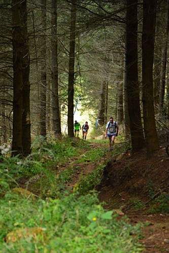 Trail à Saint-Nicolas-des-Biefs