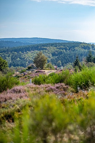 Le plateau de la Verrerie à Saint-Nicolas-des-Biefs