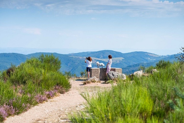 Le plateau de la Verrerie à Saint-Nicolas-des-Biefs