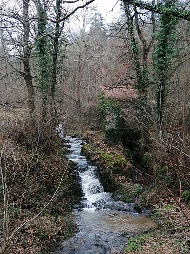 ruisseau de Triozon