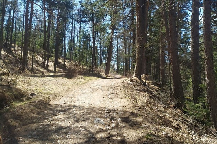 GR5 Briancon Montgenèvre , depuis la Vachette