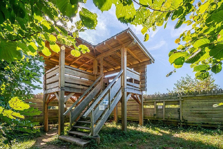 Randonnée: GRP Littoral du Léman (Sciez-sur-Léman à Yvoire)