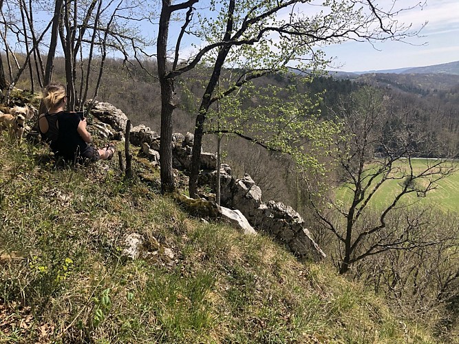Circuit Bomal-sur-Ourthe (Durbuy) - Promenade de Saint Rahy