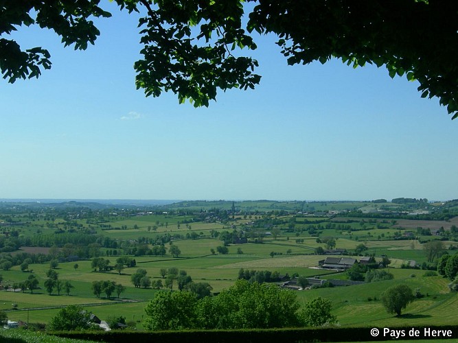 Panorama cimetière américain