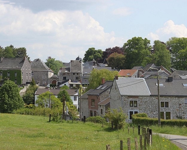 Olne Plus Beau Village de Wallonie_vue sur le village