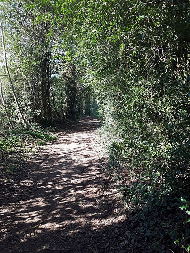 Sendero Cap d'Aze