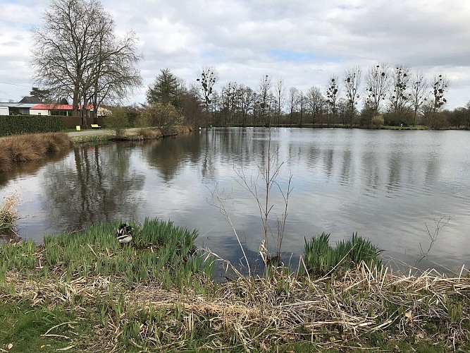 Circuit de randonnée de Brécey n°1