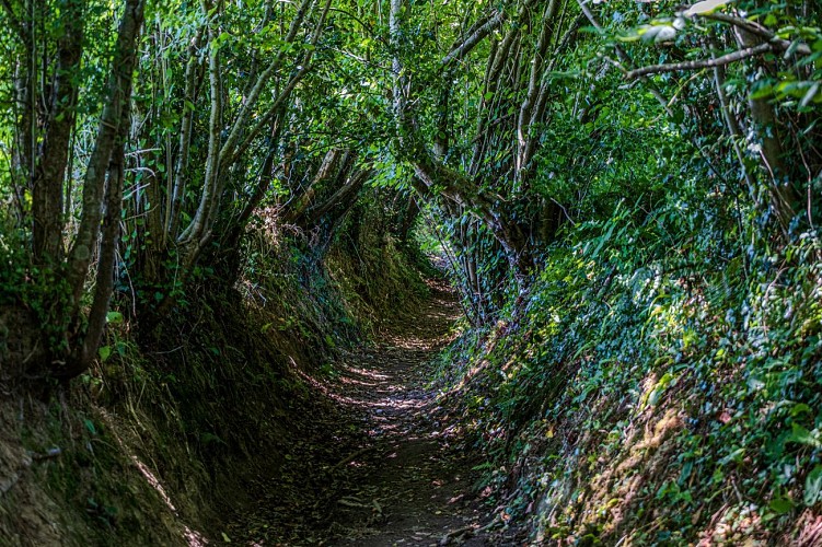 Circuit des Hauts - Monthuchon