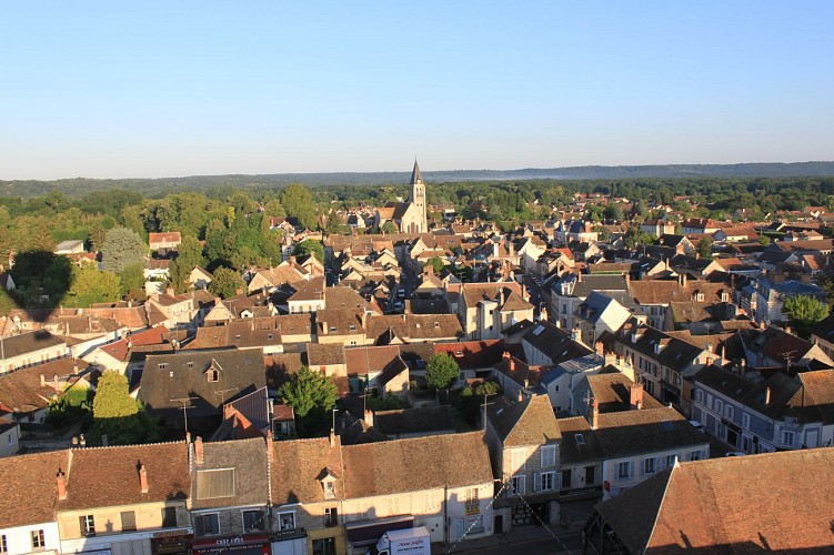 Circuit pédestre dans Milly-la-Forêt
