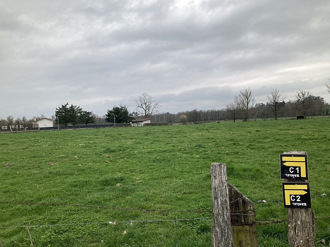 La voie romaine_Cuzieu