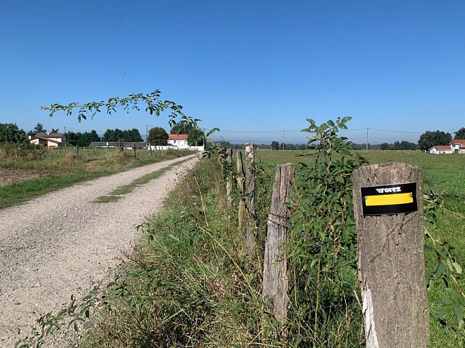 Sentier la voie romaine