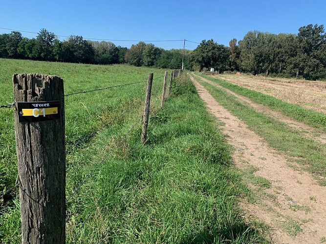 Sentier la voie romaine
