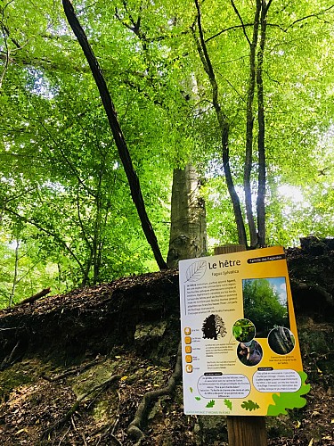 Sentier paysagé