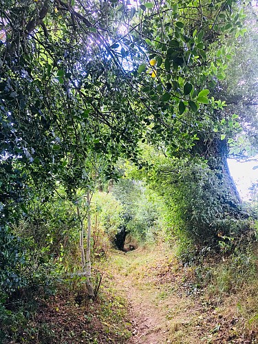 Sentier paysagé