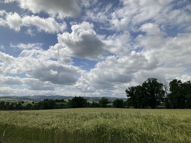 Escapade Farlaude_Chazelles-sur-Lyon