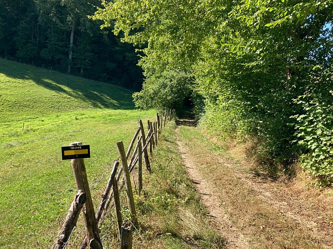 Sentier des pas vaillants_Saint-Médard-en-Forez