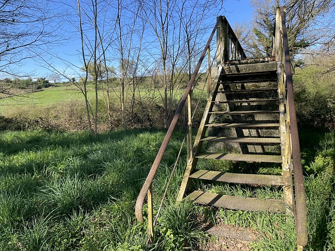 Sentier  Les étangs_Cuzieu