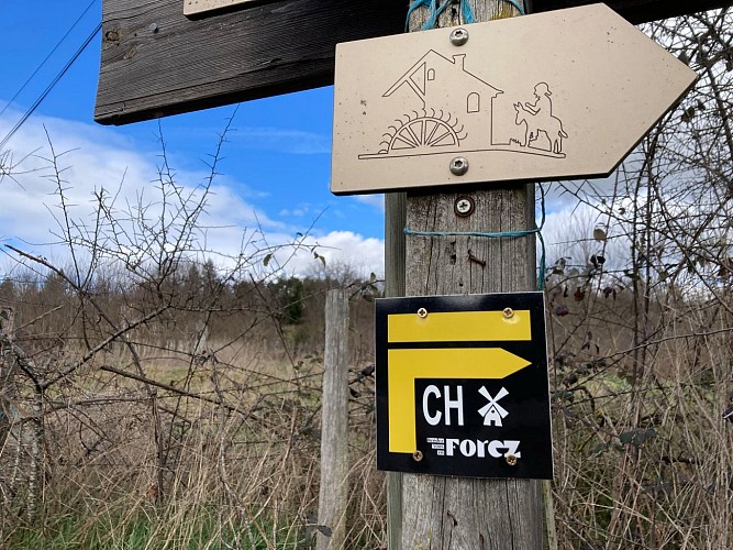 Sentier des moulins_Chazelles-sur-Lyon