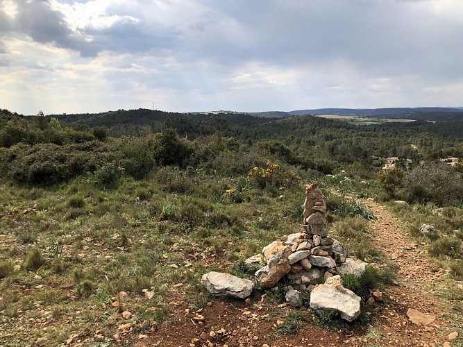 La garrigue de Fontcaude et la source de l'Avy à Grabels