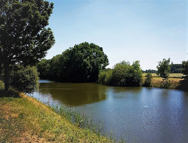 SENTIER DE RANDONNÉE AU FIL DE L'EAU À MAZÉ