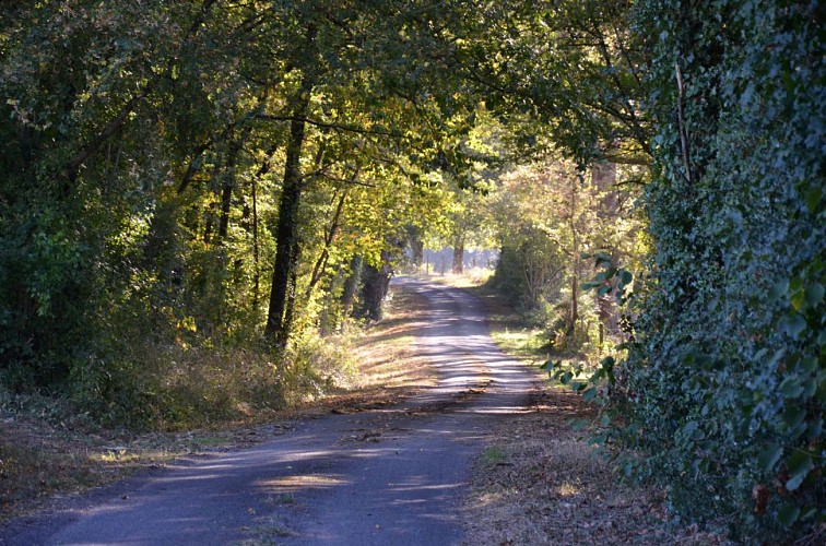 SENTIER DE RANDONNÉE LA VALLÉE DU LATHAN À BREIL