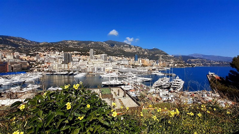 Le Port de la Condamine