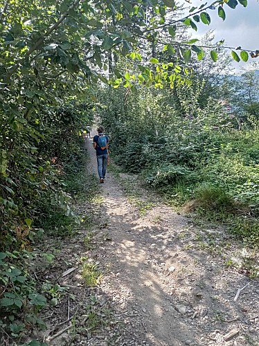 Hiking Trail: A Walk in the Bois de Fessy (Fessy Woods)