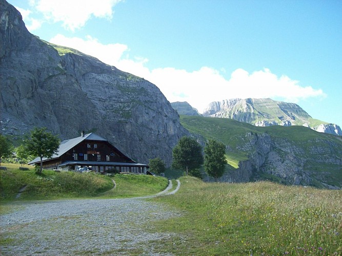 sentiero pedonale: sentiero forestale di Mayères da Burzier