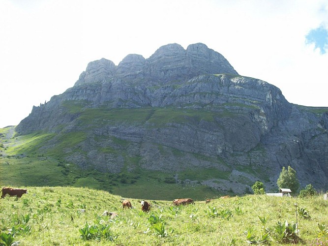 sentiero pedonale: sentiero forestale di Mayères da Burzier