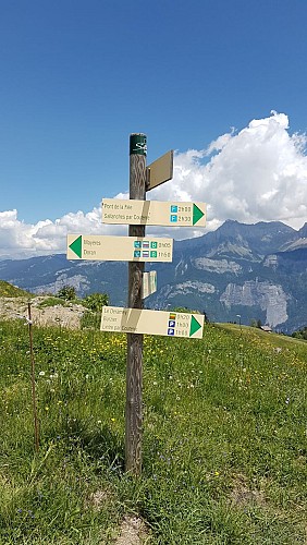 sentiero pedonale: sentiero forestale di Mayères da Burzier