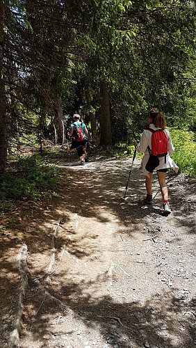 sentiero pedonale: sentiero forestale di Mayères da Burzier
