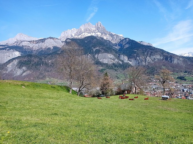 Sentier pédestre : circuit des coteaux