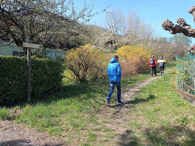 sentier pédestre : circuit des coteaux